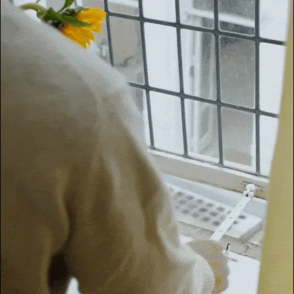 Birdie® 2.0 - Glacier™ - Image 5