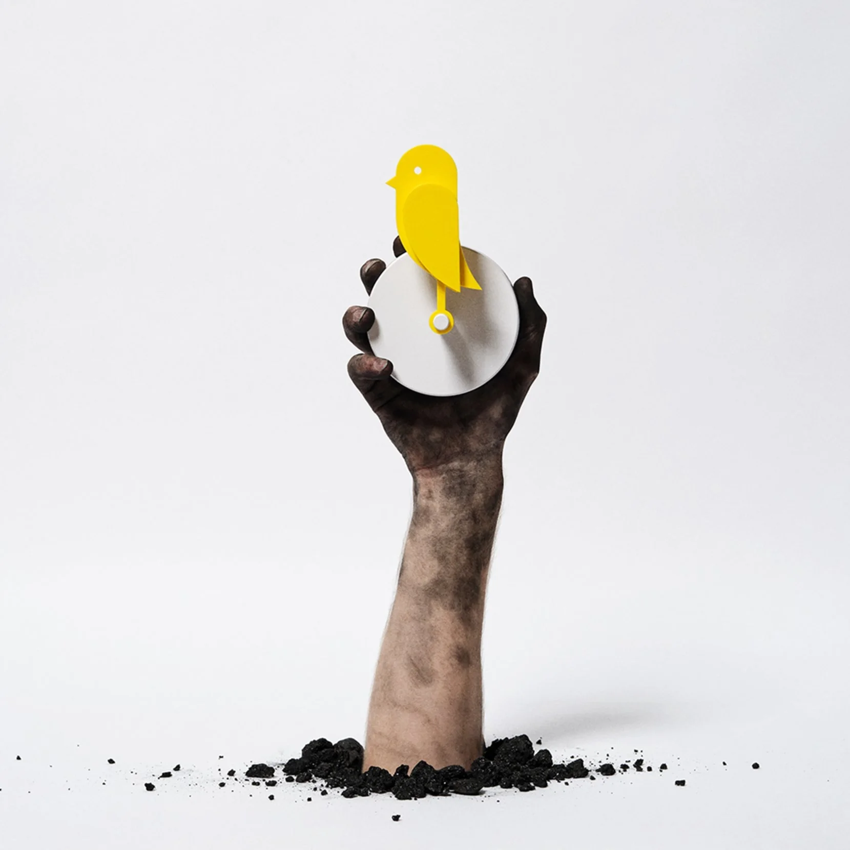 Birdie® 2.0 - Image 6