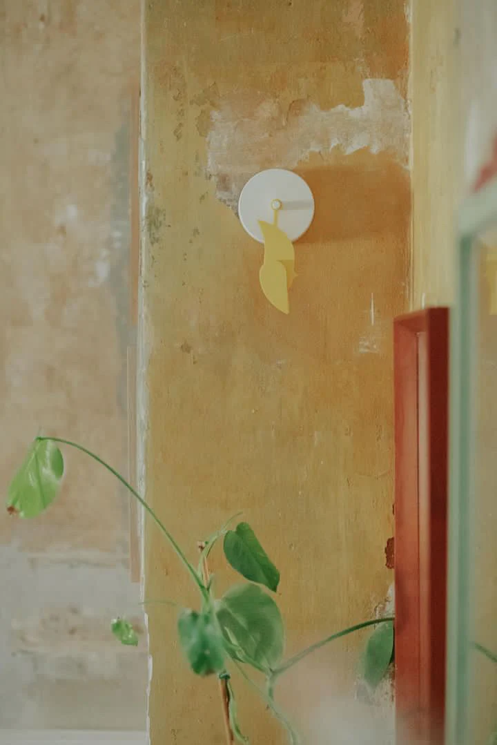 Birdie® 2.0 - Image 7